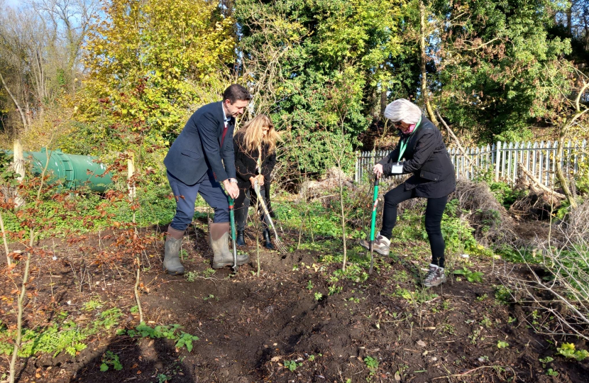 Tree planting 